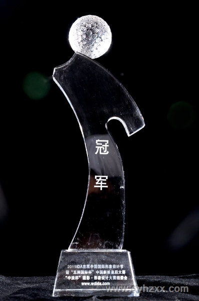 王帥老師在２０１２中國國際形象設計節榮獲＂中浪杯攝影冠軍